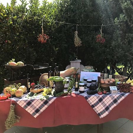 Masseria Vero Panzió Palo del Colle Kültér fotó